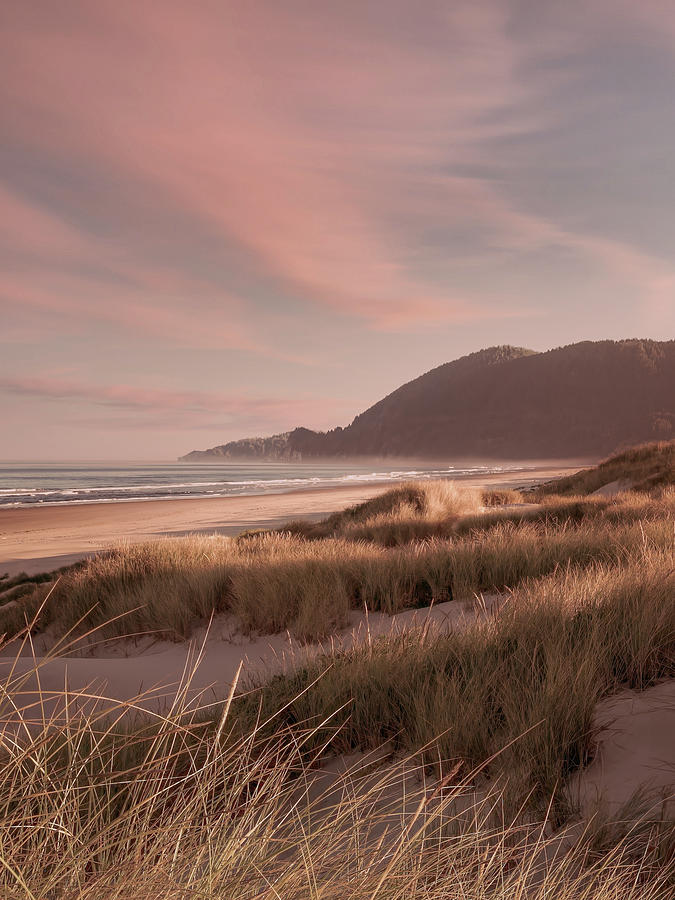 Dunes Along the Shore Photograph by Don Schwartz