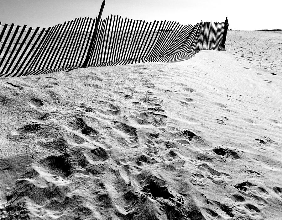 Dunes and Fencing Photograph by Liza Dey