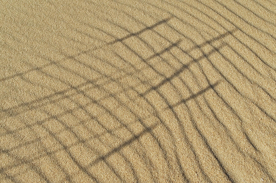 Dunes and shadows Photograph by Angelo DeVal
