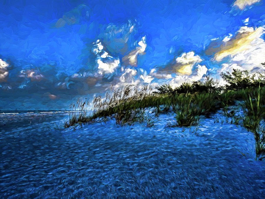 Dunes at Coquina Beach by Robert Stanhope Dunes at Coquina Beach by Robert Stanhope