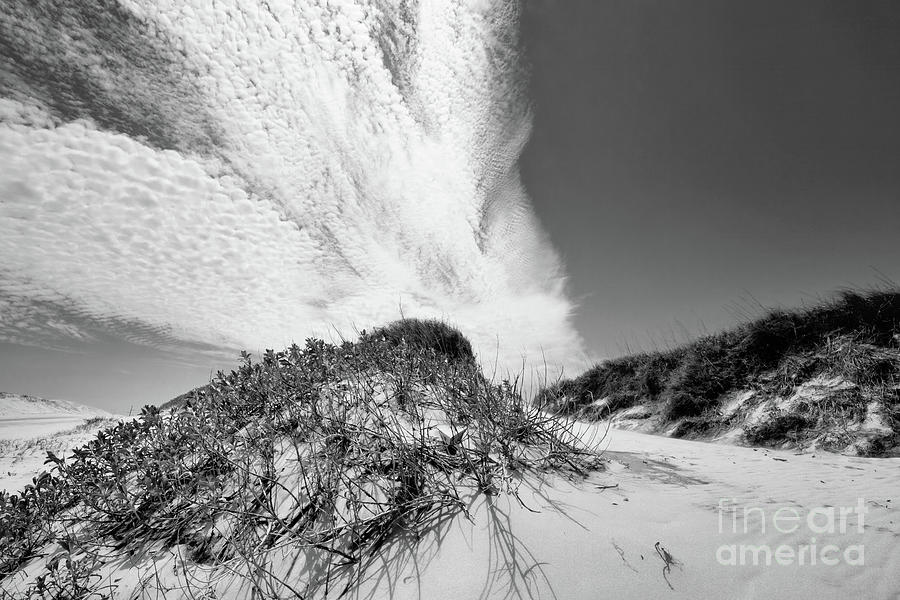 Dunes at OBX Photograph by Scott Cameron