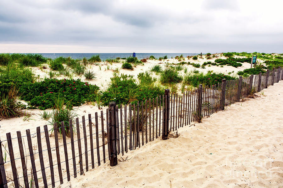 Dunes at Seaside Park in New Jersey Photograph by John Rizzuto - Pixels