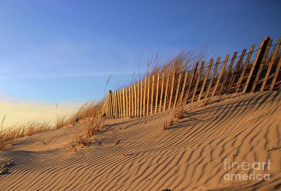 Dunes At Shinnecock Inlet Photograph by Karen Silvestri