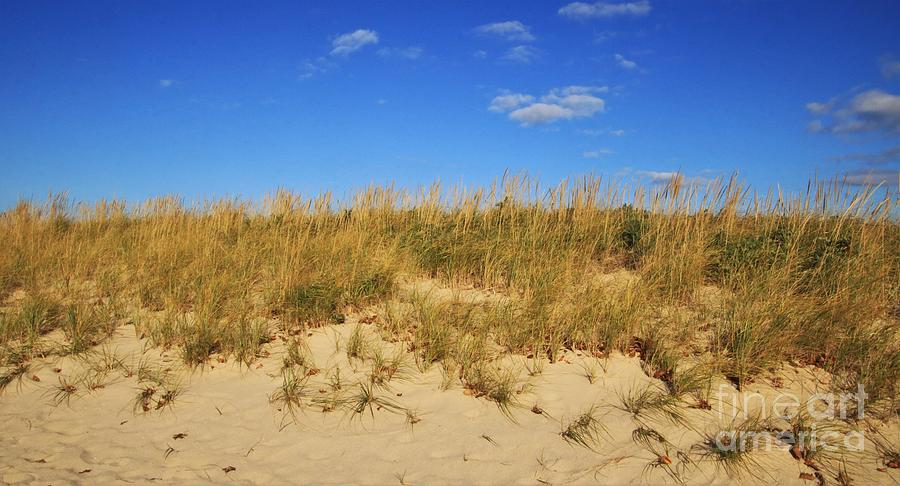 Dunes At Sunken Meadow by Karen Silvestri Dunes At Sunken Meadow by Karen Silvestri