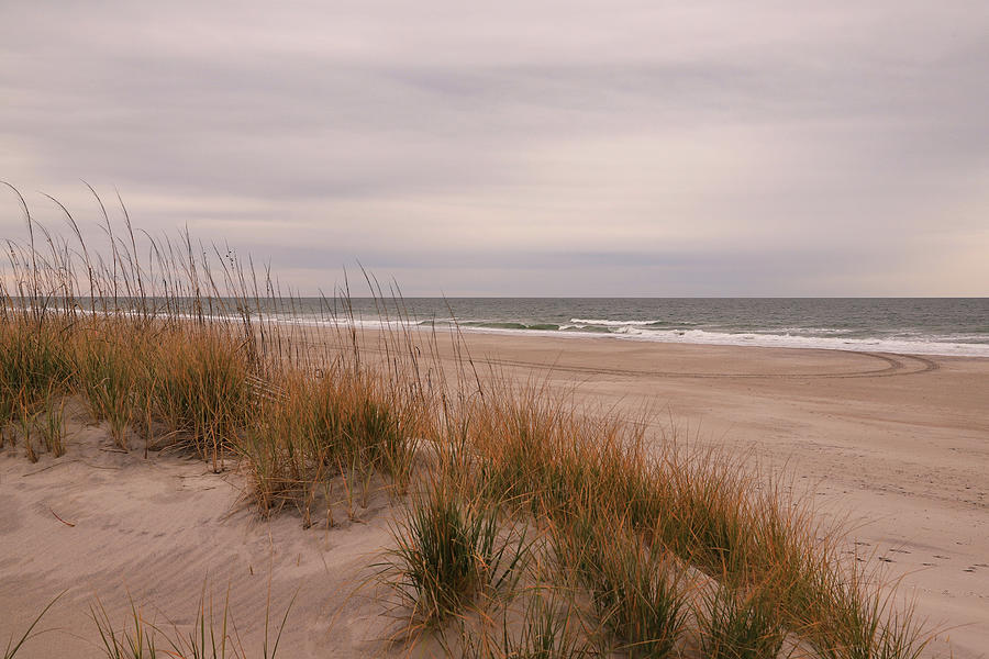 Dunes at the Atlantic Ocean Photograph by Karen Ruhl