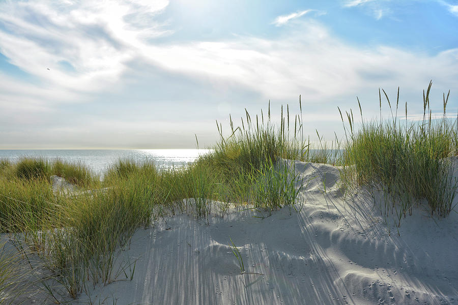 Dunes At The Baltic Sea Photograph