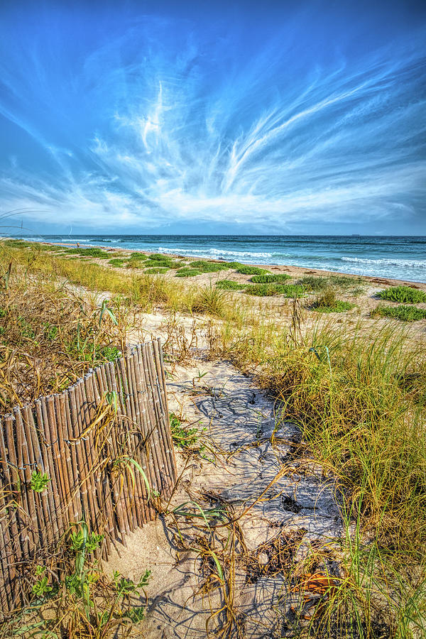 Dunes Fences on a Beautiful Morning Photograph by Debra and Dave Vanderlaan