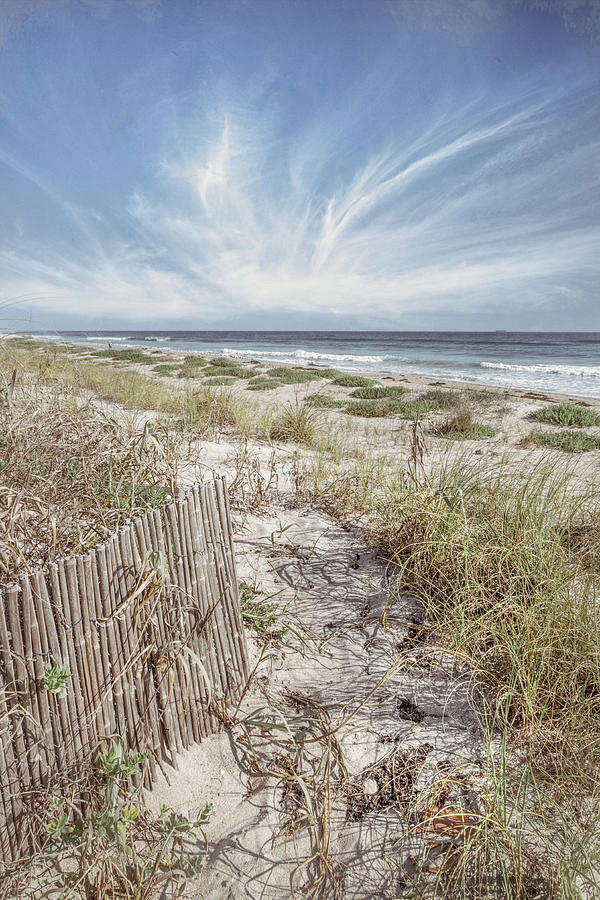 Dunes Fences on a Beautiful Morning in Beachouse Tones Photograph by Debra and Dave Vanderlaan