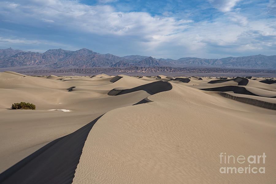 Dunes for Days Photograph by Brian Kamprath