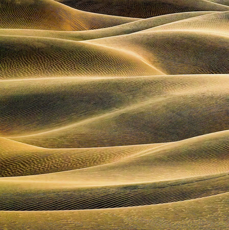 Dunes Golden Abstract Light Photograph by David Downs