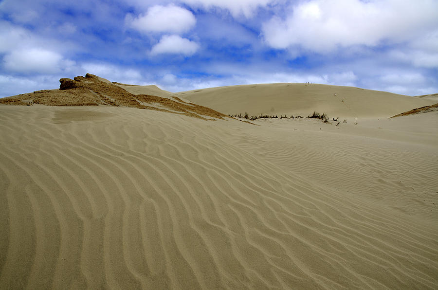 Dunes of The Northland - 90 Mile Beach, New Zealand Photograph by Kenneth Lane Smith