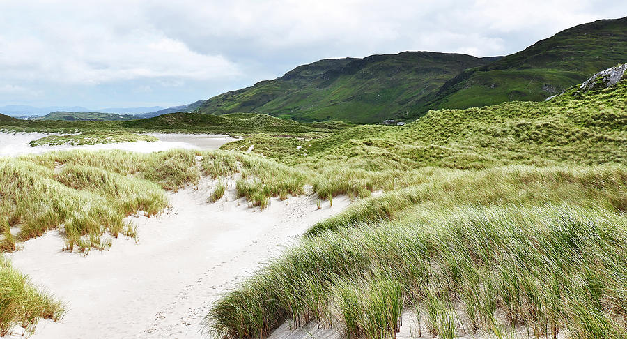 Dunes of Maghera Beach - County Donegal Photograph by Lexa Harpell