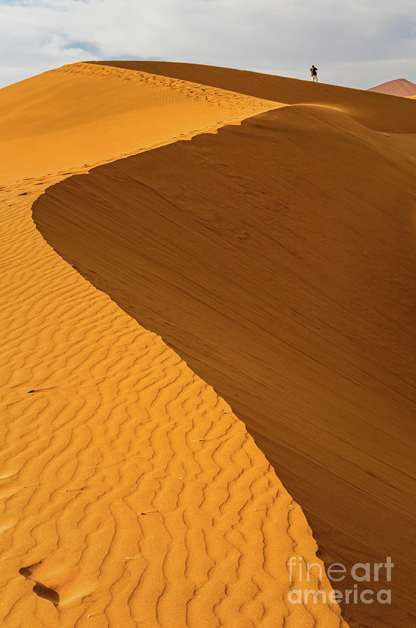 Dunes Of Namib Desert Vertical Print Photograph