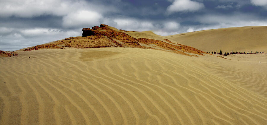 Sand Dunes of 90 Mile Beach - Fine Art Print Photograph by Kenneth Lane Smith