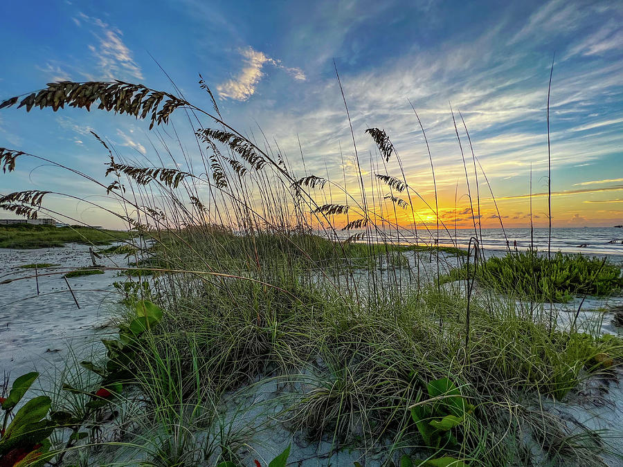 Dunes View Photograph by Nikki Brubaker - Fine Art America