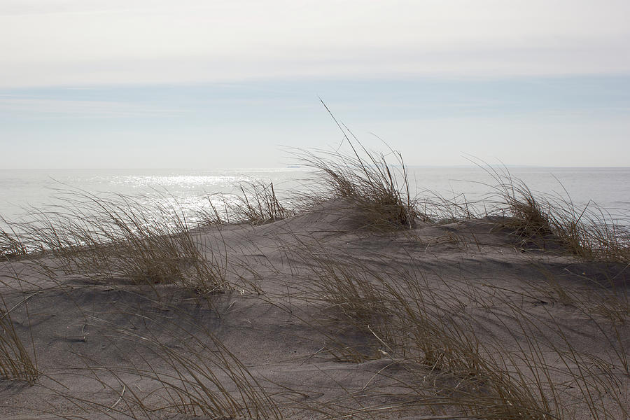 Dunescape Photograph by Mark Truman