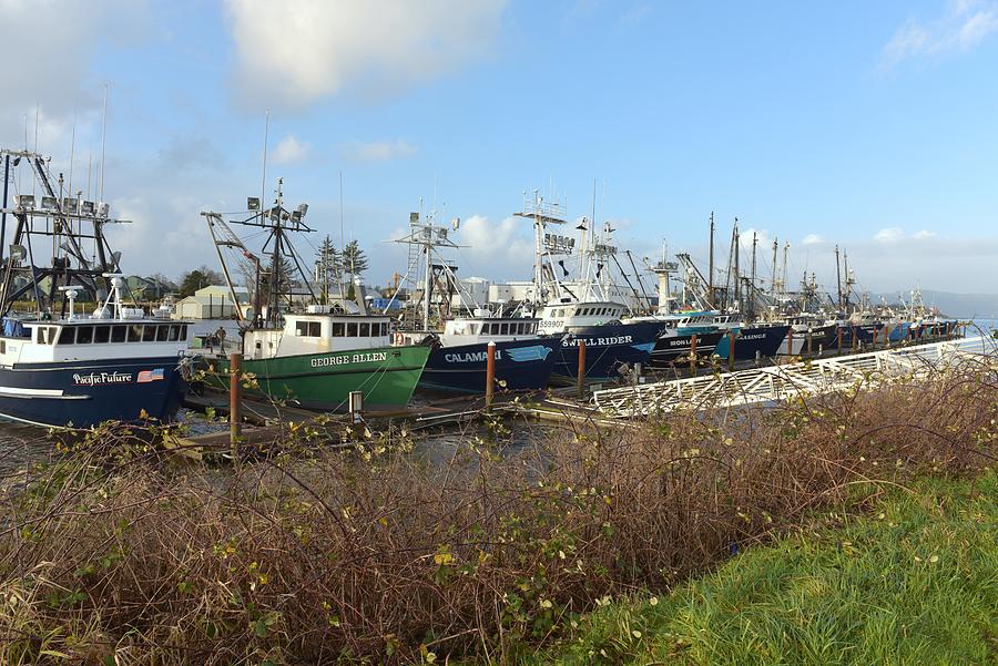Dungeness Crab Boats Photograph by Chuck Overton Fine Art America