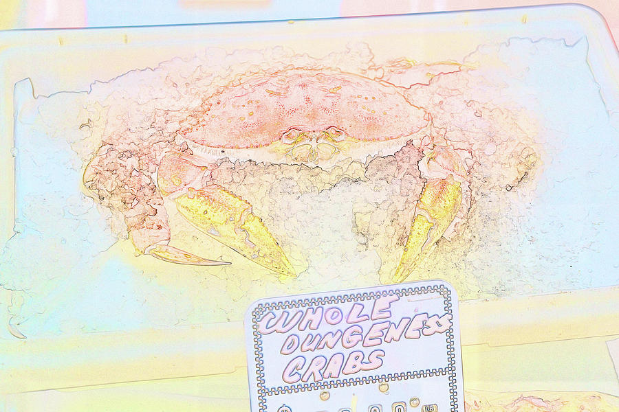 Dungeness Crab on ice Digital Art by Bruce Block