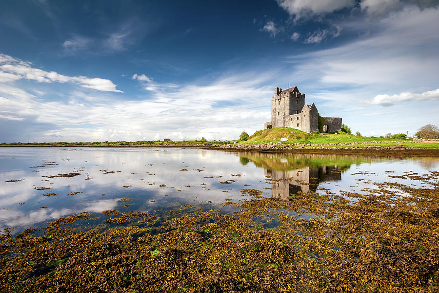 Dunguaire Castle Kinvara co Galway Ireland Photograph by Pierre Leclerc Photography