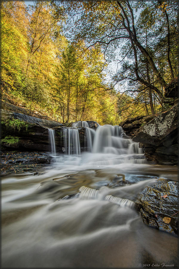 Dunlop Creek Falls Photograph by Erika Fawcett