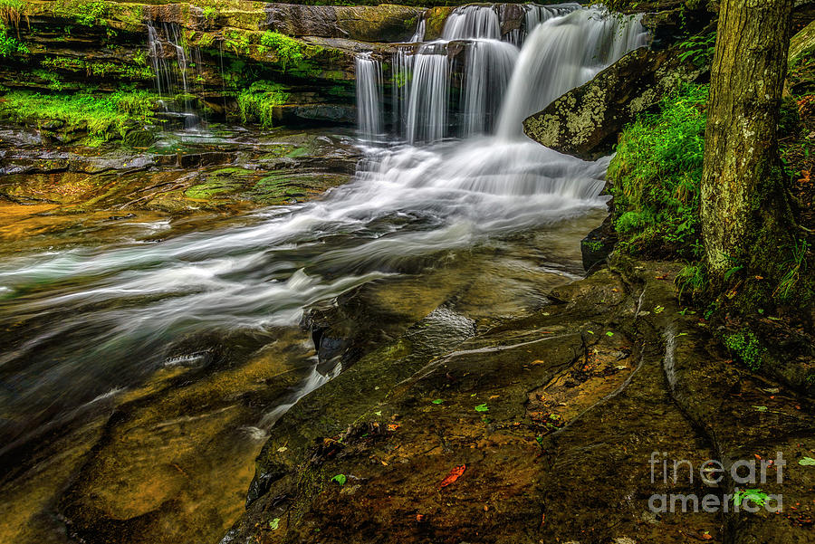 Dunloup Creek Falls in the Rain Photograph by Thomas R Fletcher