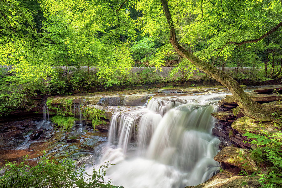 Dunloup Creek Falls - West Virginia Photograph by Susan Rissi Tregoning Dunloup Creek Falls - West Virginia Photograph by Susan Rissi Tregoning