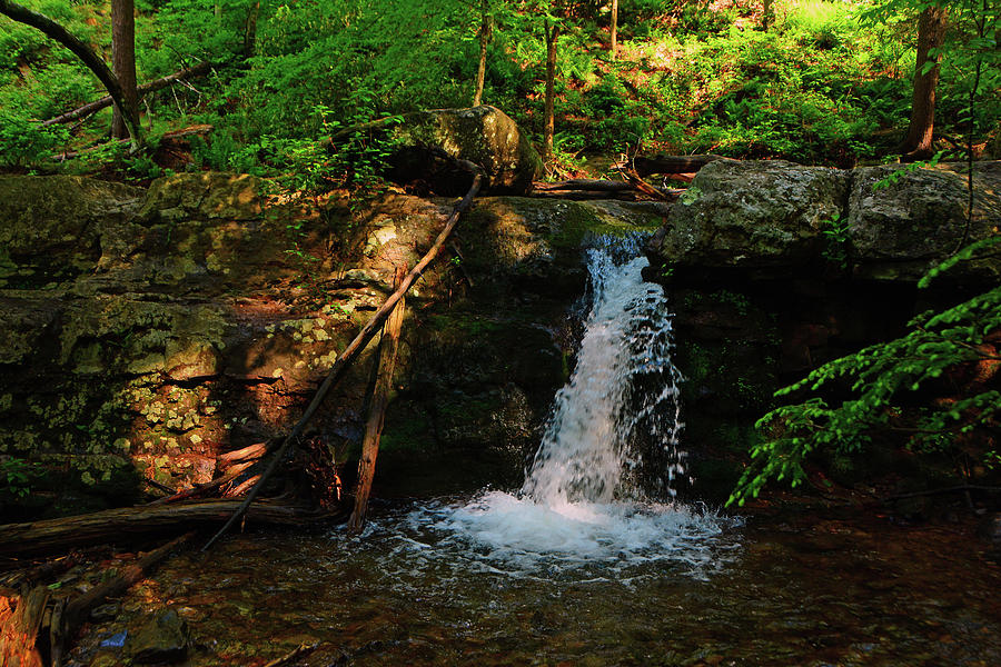 Dunnfield Creek Waterfall Spring Green Photograph by Raymond Salani III