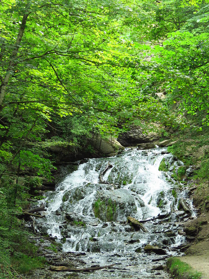 Dunnings Springs Falls  Photograph by Lori Frisch