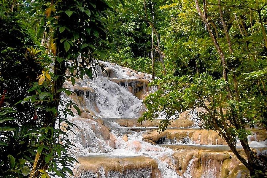 Nature Photograph - Dunns River Falls by Dylyce Clarke