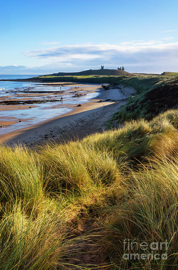 Dunstanburgh Castle and Embleton Bay, Northumberland coast, England, UK  Photograph by Neale And Judith Clark