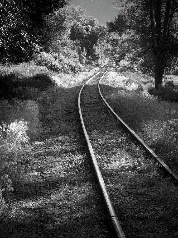 Durango Narrow Gauge Rail Photograph by Mary Lee Dereske