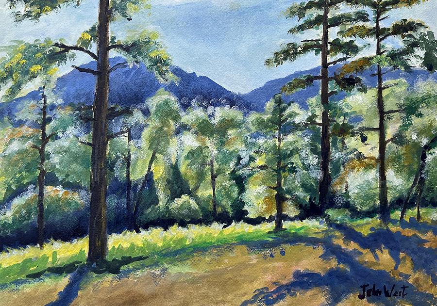 Durango Pines Painting by John West