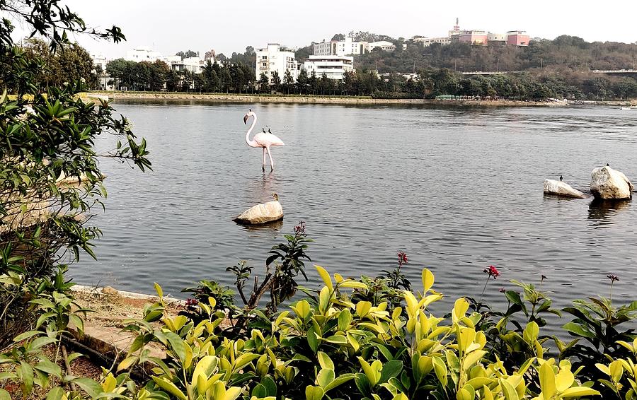 Durgam Cheruvu Photograph by Anand Swaroop Manchiraju - Fine Art America