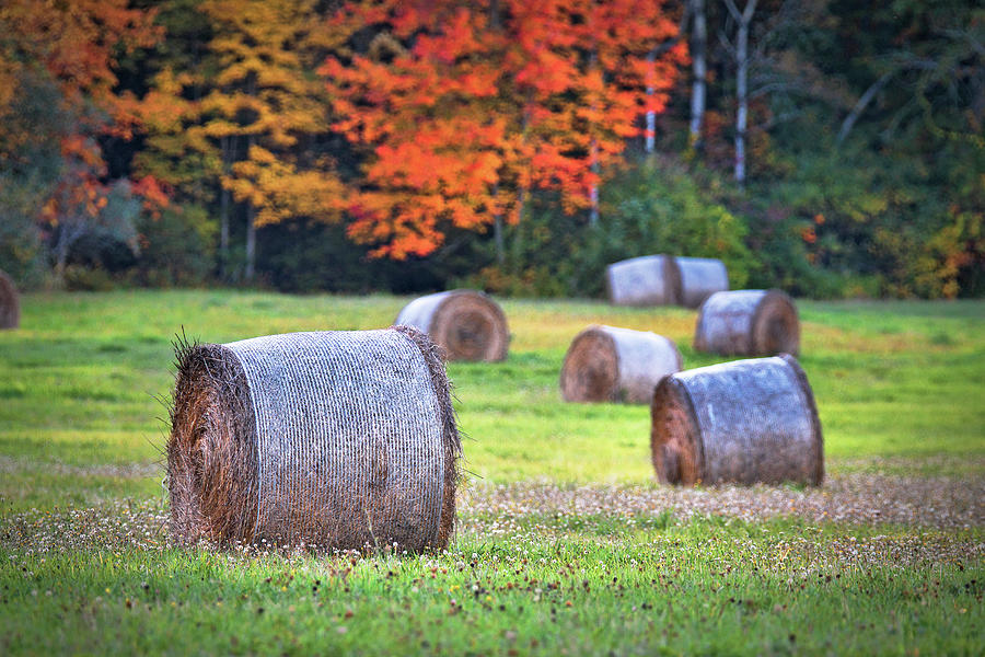 Durham Autumn Harvest Photograph by Eric Gendron