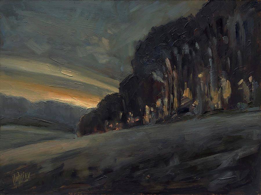 Dusk above the Bovenste Bos Painting by Nop Briex