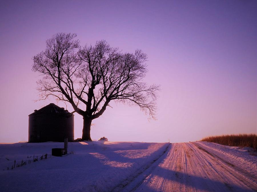 Dusk Along the Rural Road  Photograph by Lori Frisch