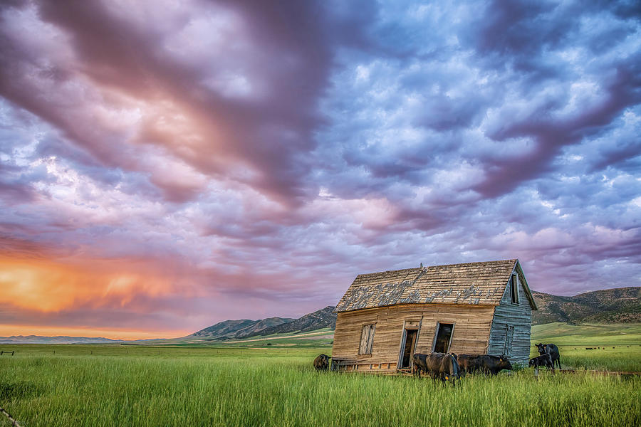 Dusk at the Curlew National Grassland Photograph by Steve Smede - Fine ...