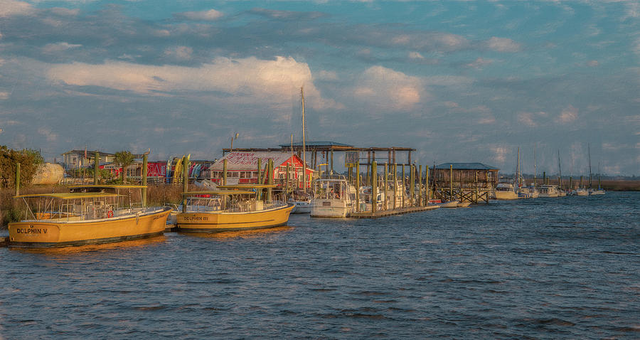 Dusk at the Dock, Savannah Photograph by Marcy Wielfaert