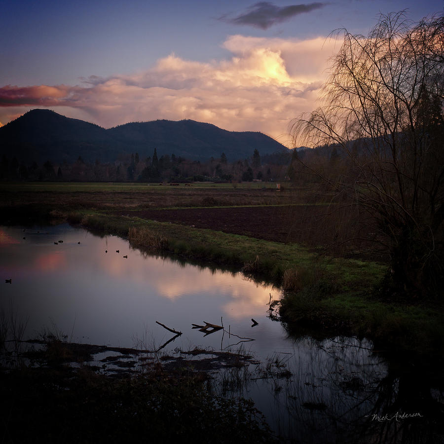 Dusk At The Duck Pond Photograph