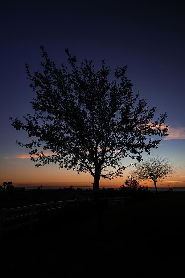 Dusk Photograph by Brian Anderson Dusk Photograph by Brian Anderson