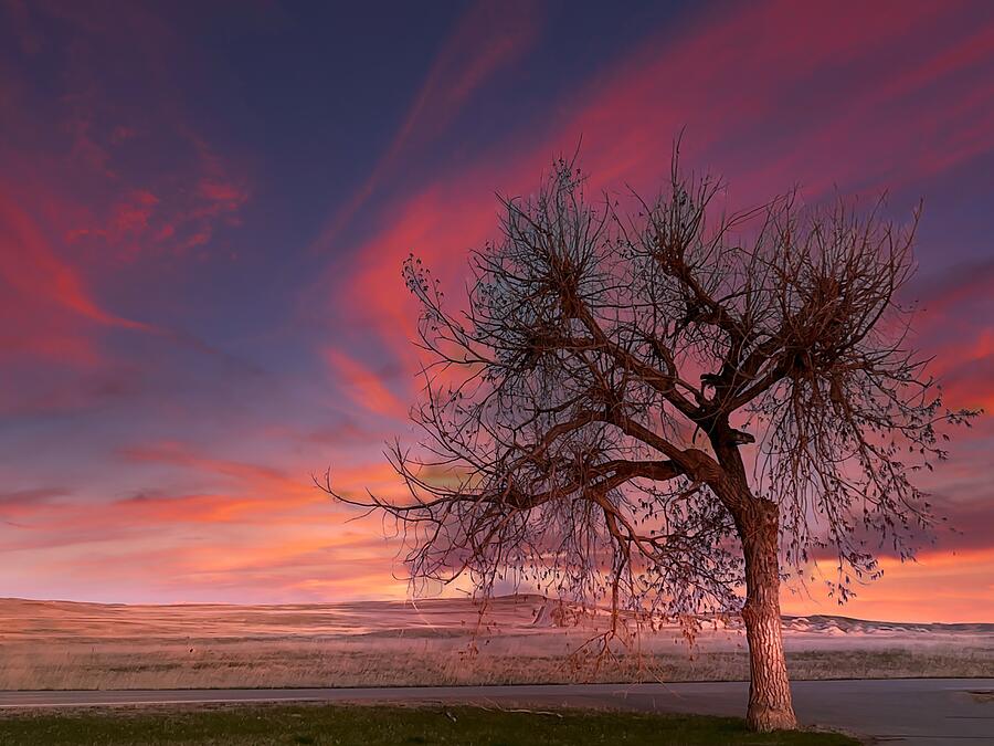 Dusk Photograph by Carolyn Mickulas Dusk Photograph by Carolyn Mickulas