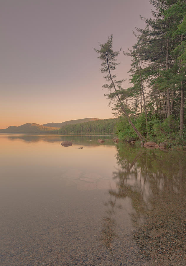 Dusk in Acadia Photograph by Arti Panchal
