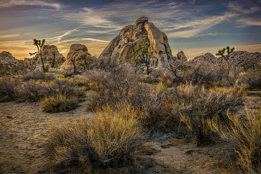 Dusk in the Joshua Tree Valley Photograph by Peter Tellone