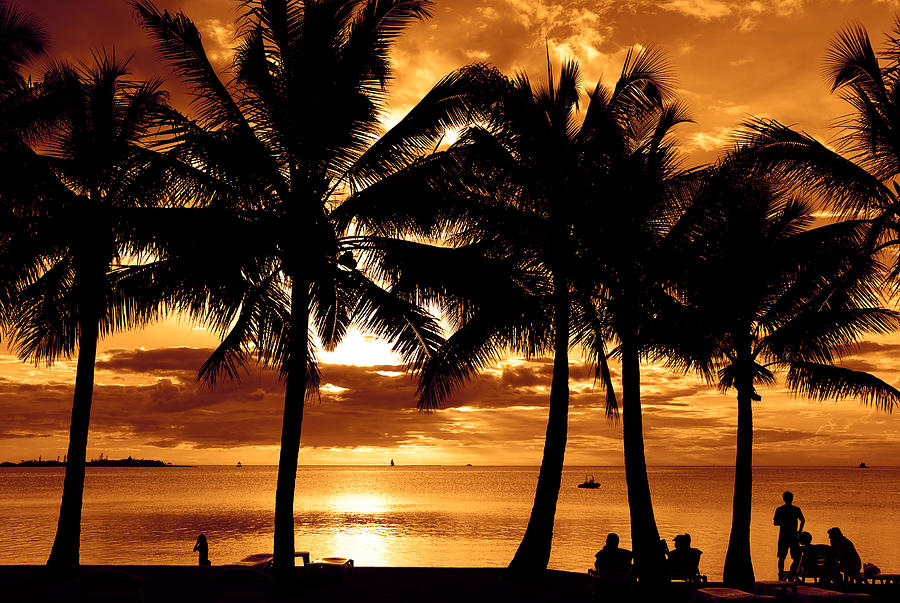 Dusk Sunset Palms at Noumea Photograph by Juuce