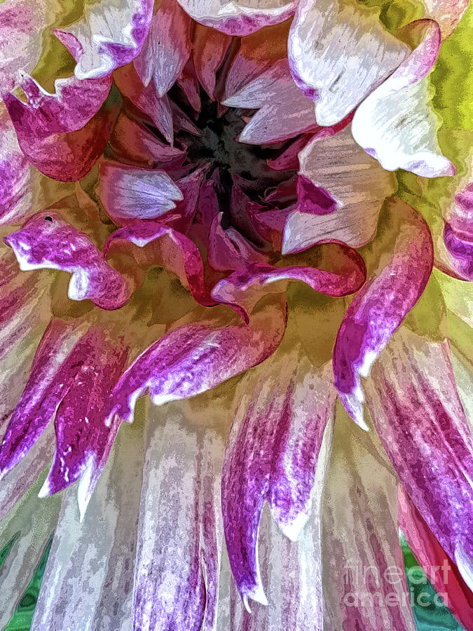 Flower Mixed Media - Dusky pink dahlia by Jolanta Anna Karolska