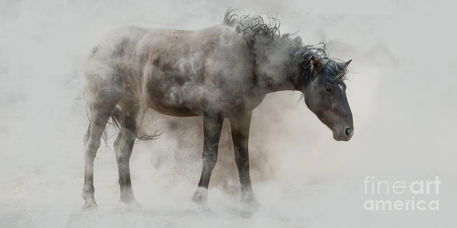 Wildlife Photograph - Dust Bathing by Lisa Manifold