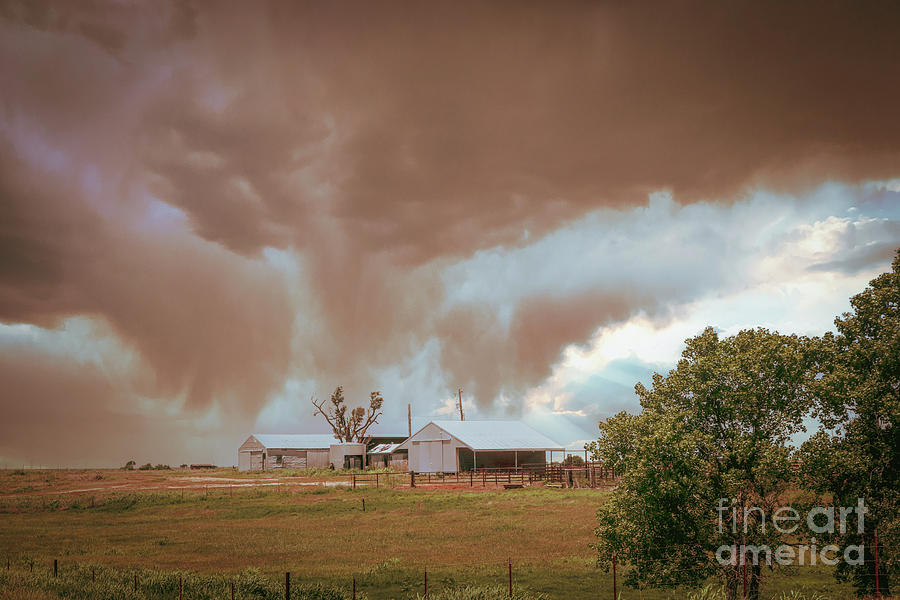 Dust Bowl Farm Photograph by Susan Vineyard