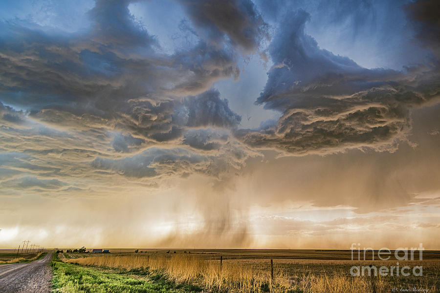 Dust in the Wind Photograph by Anne Shoberg | Fine Art America