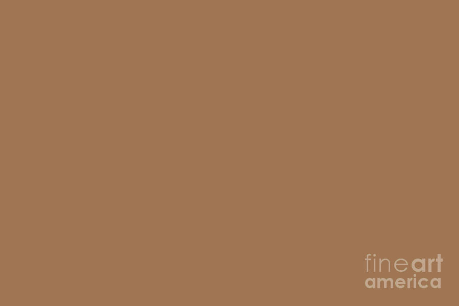 Dusty Clay Brown Trending Solid Color Dutch Boy 2021 Color of the Year Accent Hue Desert Varnish Digital Art by PIPA Fine Art - Simply Solid