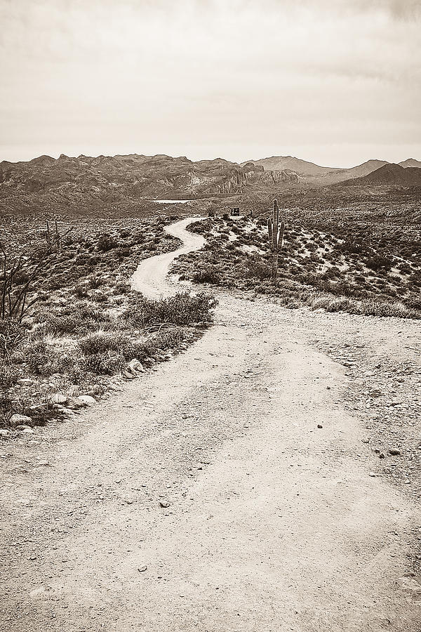 Dusty Desert Road Photograph by Bonny Puckett